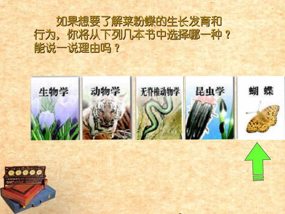 山东省东营市河口区实验学校八年级生物《第四章-生物的分类》课件-人教新课标版_第2页