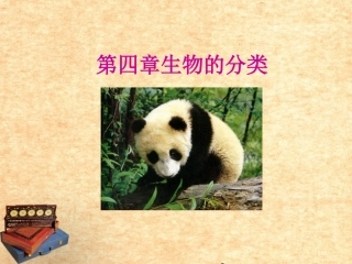 山东省东营市河口区实验学校八年级生物《第四章-生物的分类》课件-人教新课标版
