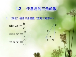 (新课程)2013高中数学-1.2.1任意角的三角函数2课件-苏教版必修4-苏教版必修4