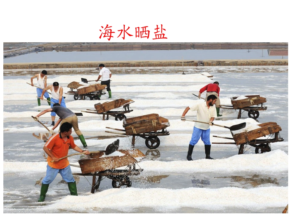 13海洋——21世纪的希望_第3页