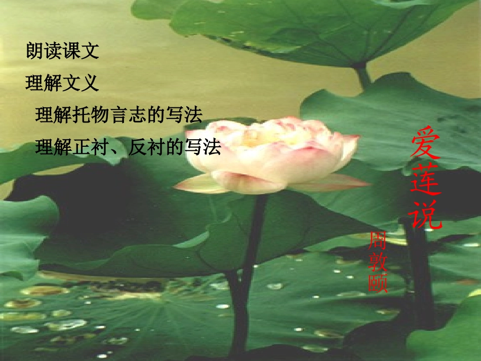 爱莲说课件-(4)_第1页