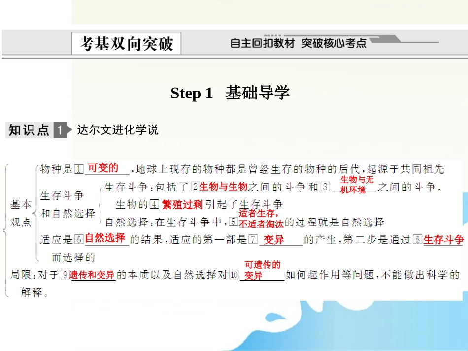 2012届高考生物-第五单元-生物的进化总复习课件14-必修2_第2页