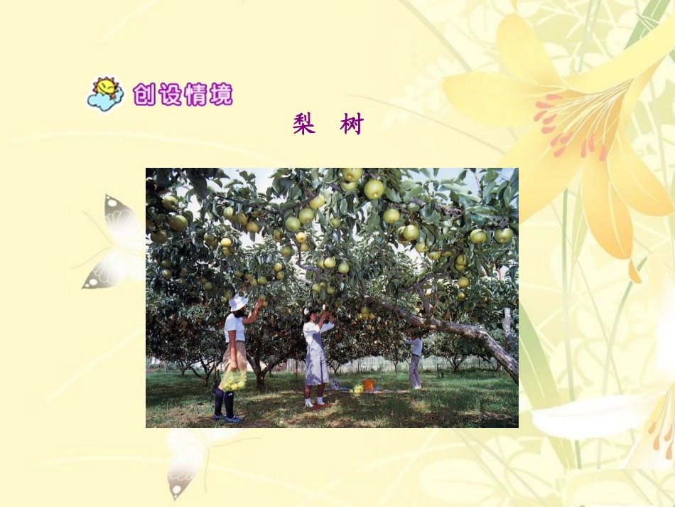 《猴子种果树》课件_第3页