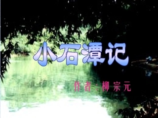 二十一小石潭记