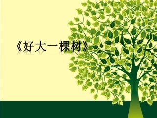 《好大一棵树》课件