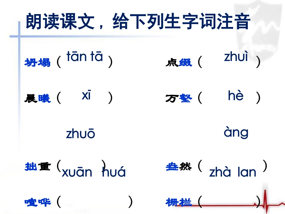 《失根的兰花》课件1_第2页
