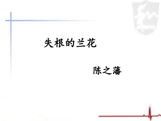 《失根的兰花》课件1