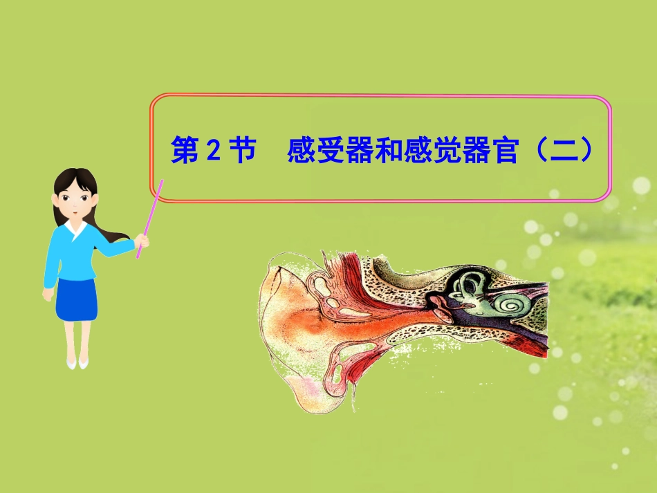 七年级生物下册-第12章-第2节-感受器和感觉器官(二)课件-北师大版_第1页