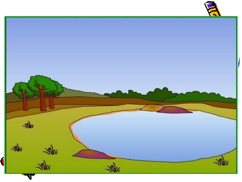 《小池塘》课件4_第3页