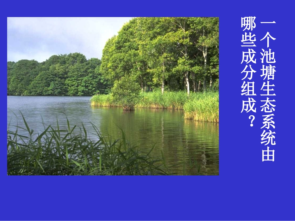高中生物生态系统的类型3课件人教版必修2_第3页