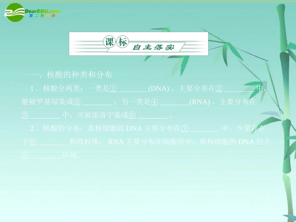 《金版》高中生物-第二单元-第一节-核酸的结构和功能课件-中图版必修1_第2页