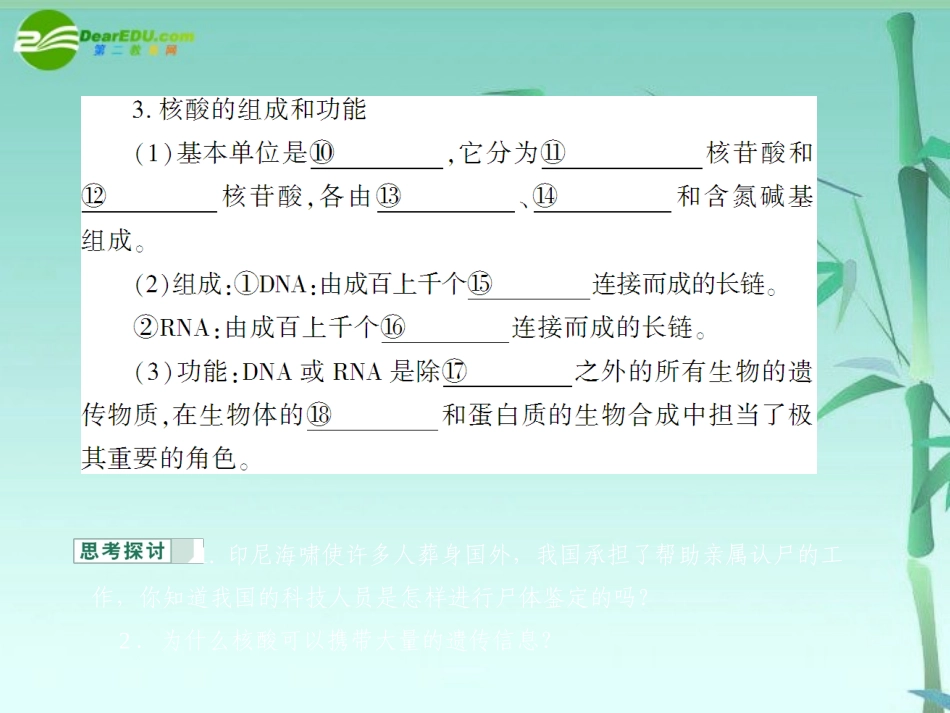 《金版》高中生物-第二单元-第一节-核酸的结构和功能课件-中图版必修1_第3页