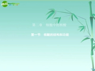 《金版》高中生物-第二单元-第一节-核酸的结构和功能课件-中图版必修1