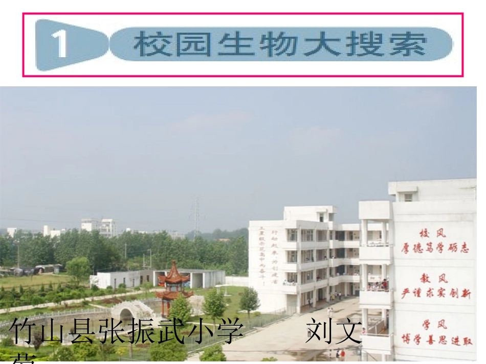 1.校园生物大搜索_第1页
