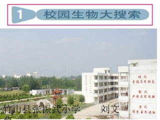 1.校园生物大搜索