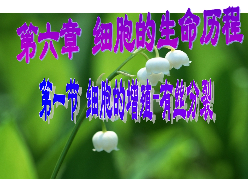 天津2012高中生物复习-生物：1.6.1《细胞的增殖》.课件-新人教版必修1_第1页