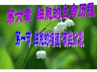 天津2012高中生物复习-生物：1.6.1《细胞的增殖》.课件-新人教版必修1