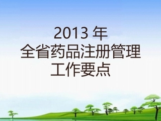 2013年全省药品注册工作要点