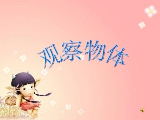 人教版六年制小学数学二年级上册第五单元第一节课《观察物体》PPT
