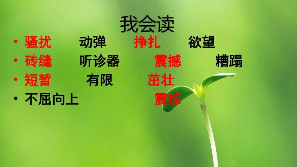 15生命生命_第3页