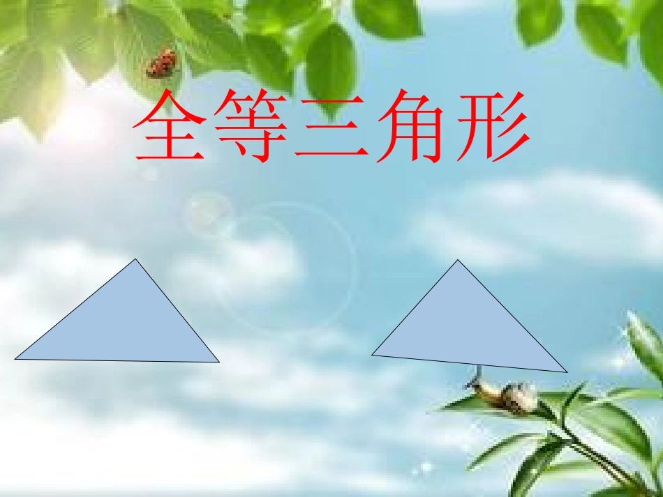 12.1全等三角形_第1页