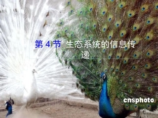 生态系统中的信息传递