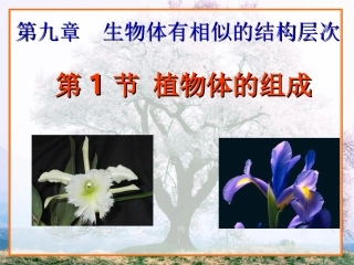 9.1植物体的组成