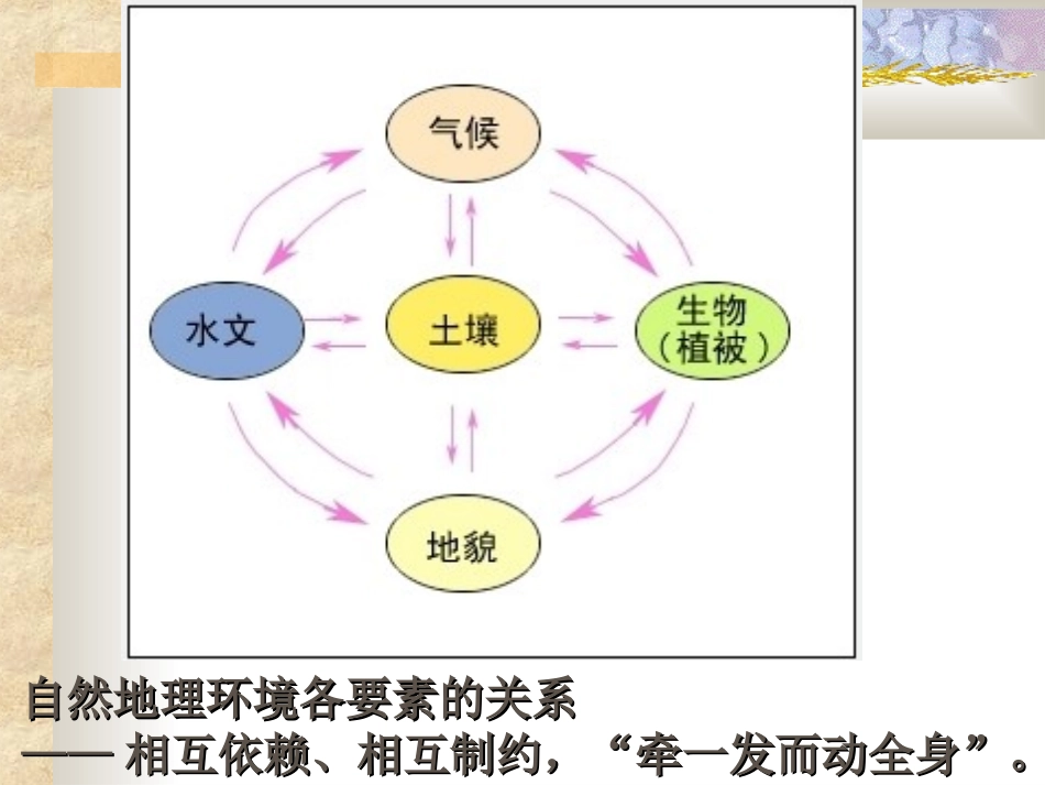 第一节自然地理要素变化与环境变迁_第2页