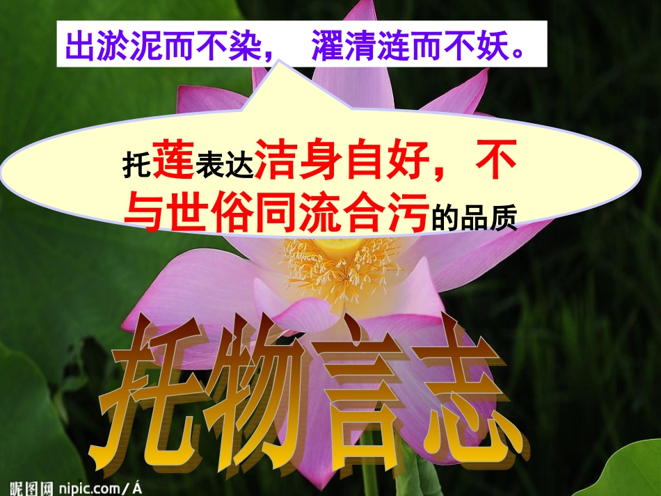 17紫藤萝瀑布_第1页