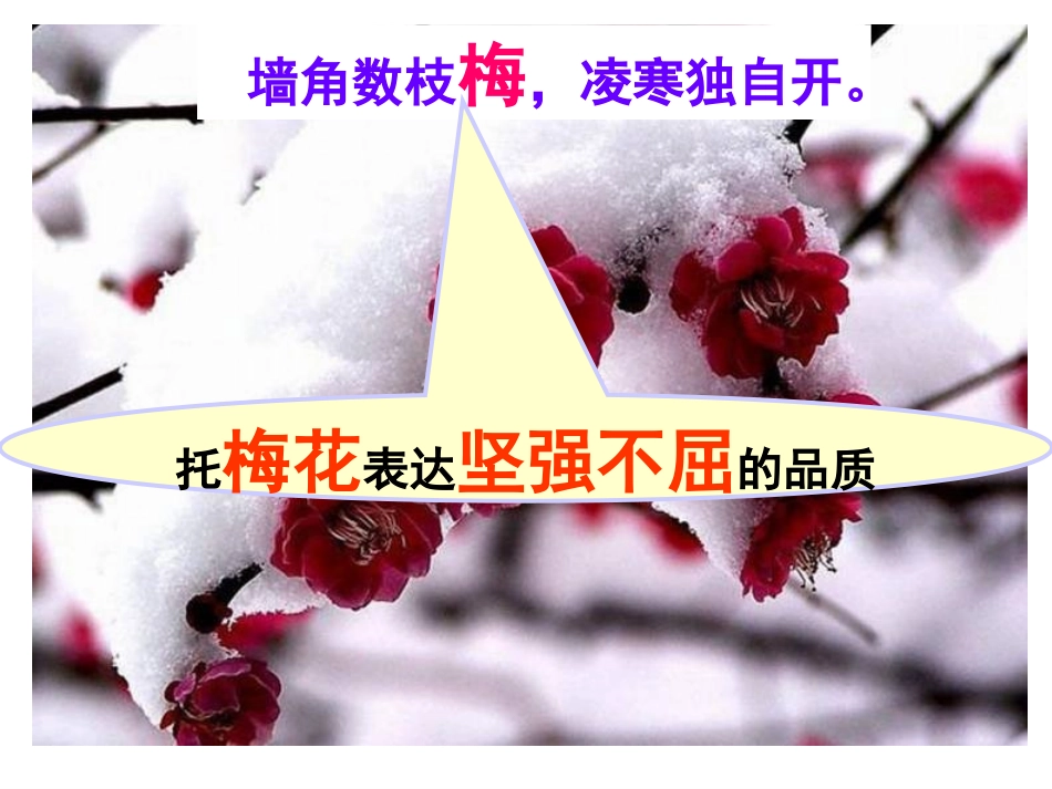 17紫藤萝瀑布_第3页