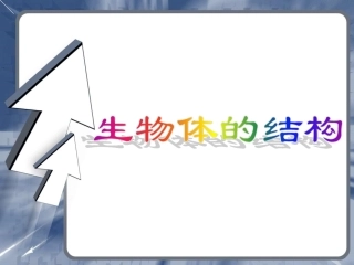 生物体的结构