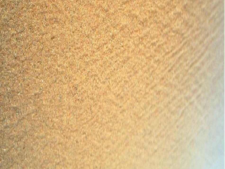 《圆圆的沙粒》_第2页