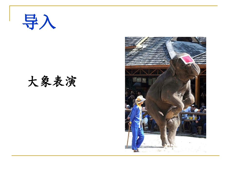 《彩的大象表演》课件1_第2页