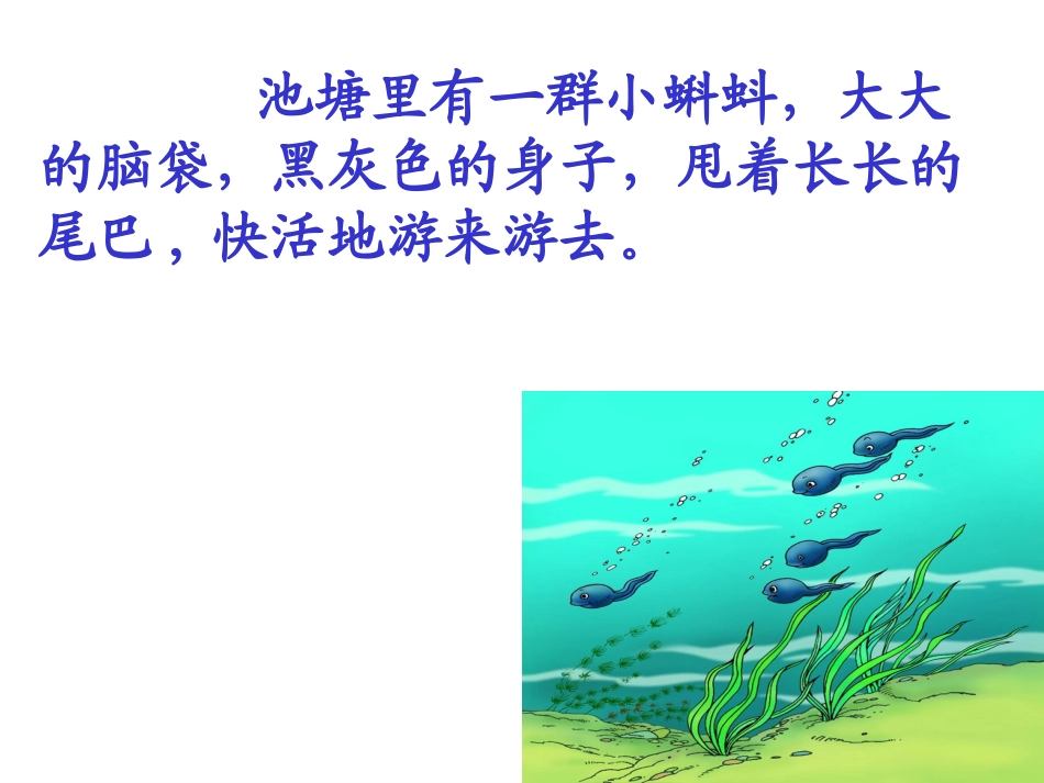 34《小蝌蚪找妈妈》课件.ppt_第3页