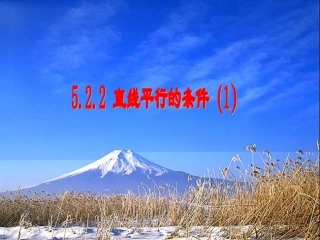 七年级数学平行线及其判定.