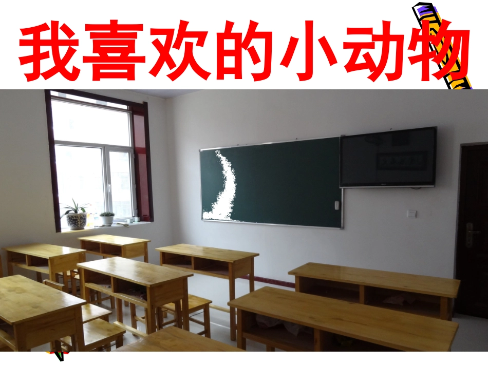 39我喜欢的小动物_第1页