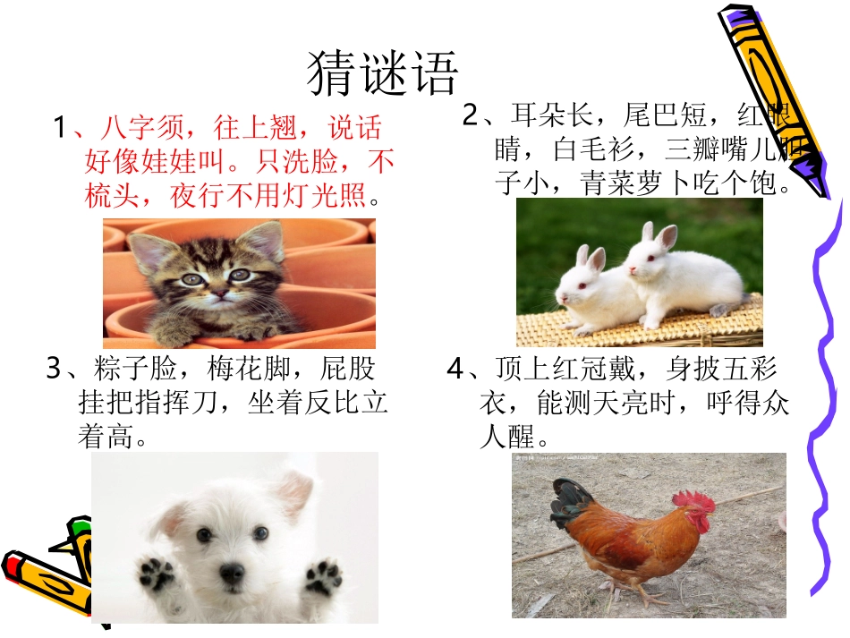 39我喜欢的小动物_第2页