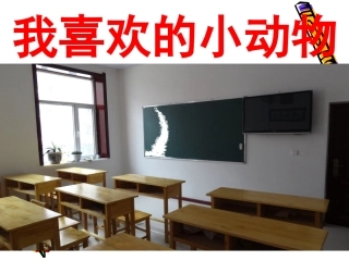 39我喜欢的小动物