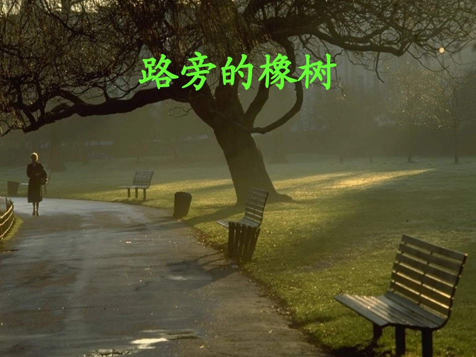 小学语文三年级课件-路旁的橡树-1_第1页