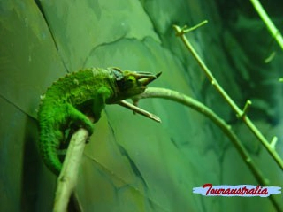 满分作文是这样炼成的_第3页