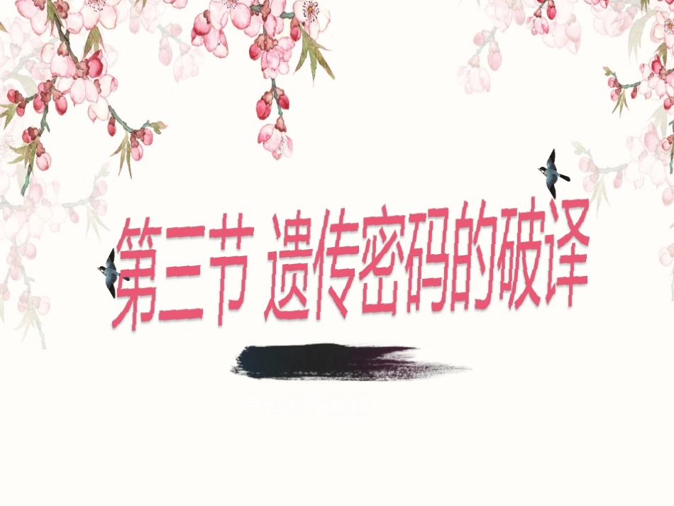 第3节-遗传密码的破译(选学)_第1页