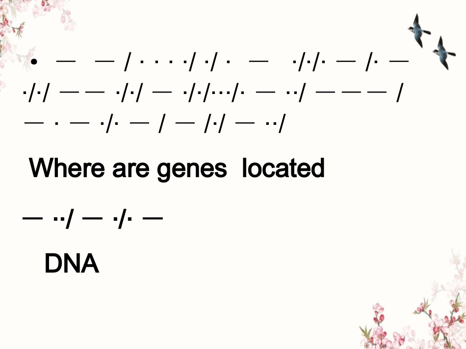 第3节-遗传密码的破译(选学)_第2页