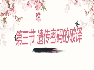 第3节-遗传密码的破译(选学)