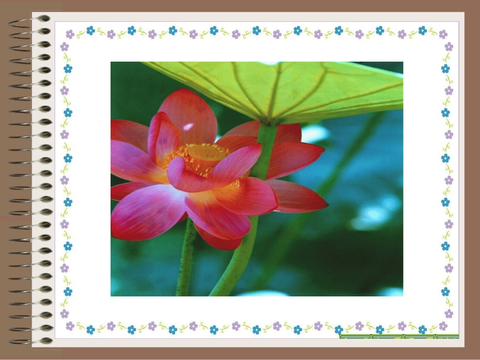 苏教版小学一年级语文上册3.江南PPT(1)_第3页