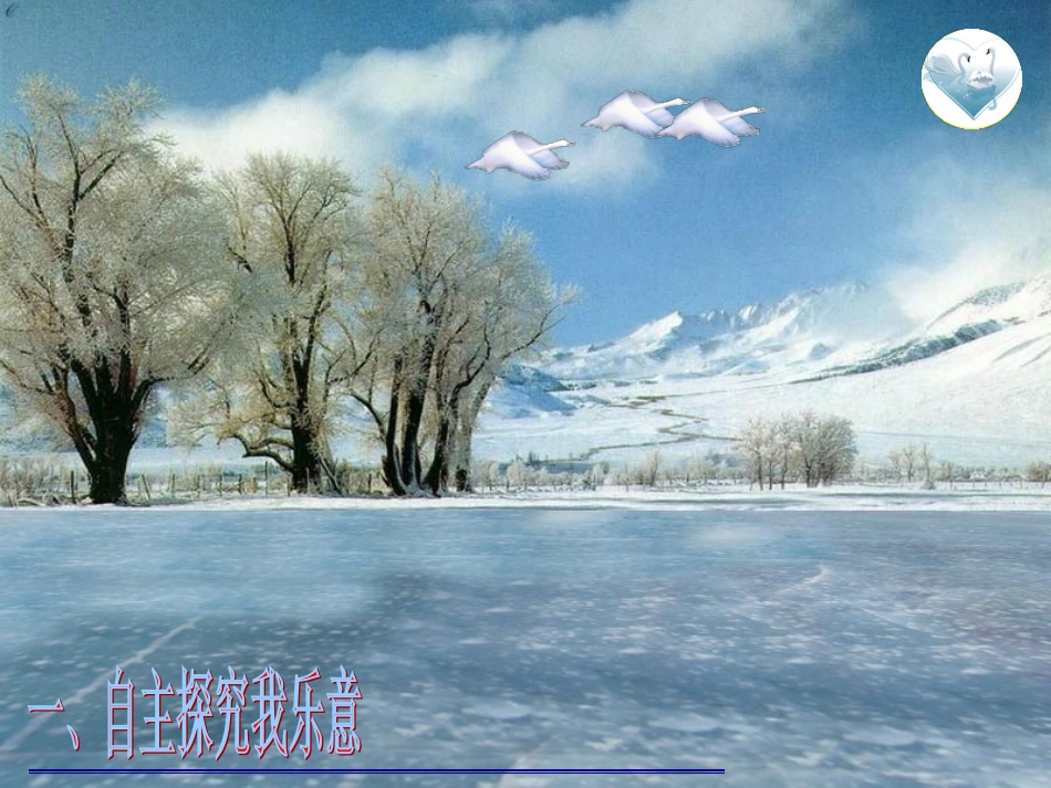 《天鹅的故事》课件4-(3)_第2页