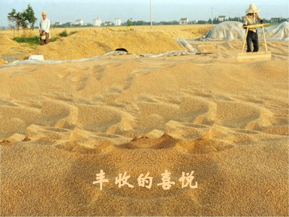 苏教版六年级圆锥的体积_第2页