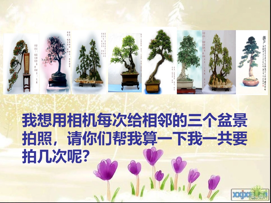 苏教版五年级数学下册《找规律》2课件_第3页