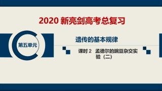第五单元--课时2--孟德尔的豌豆杂交实验(二)