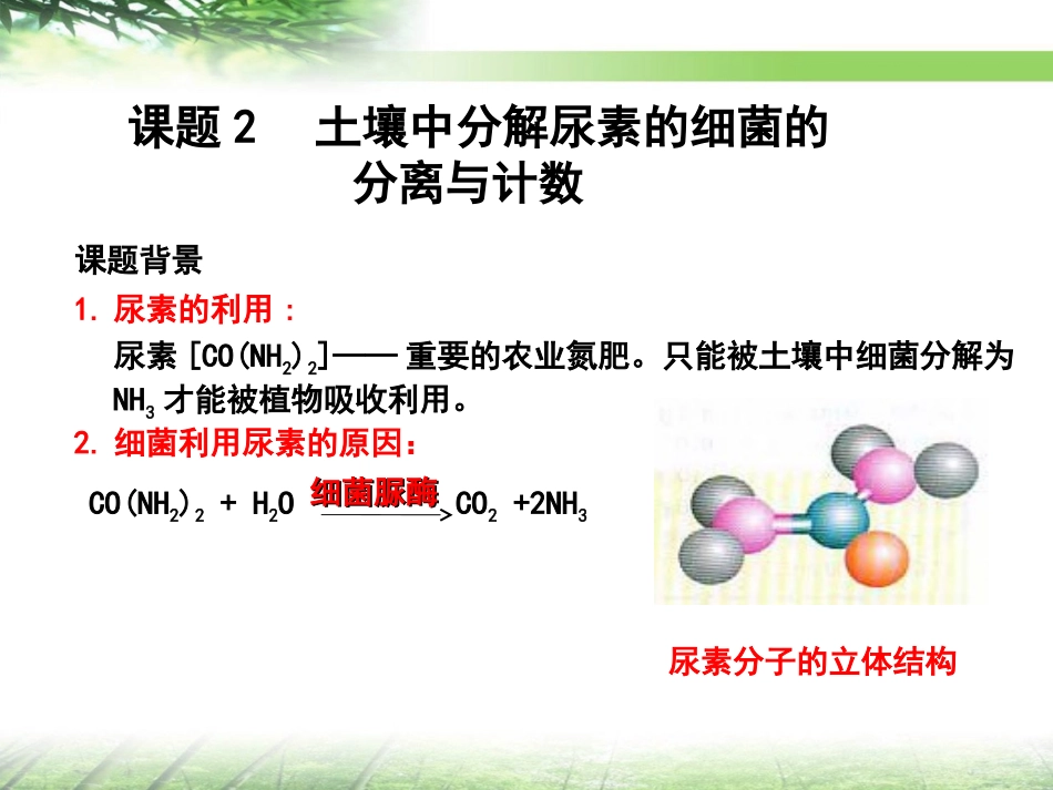 课题2-土壤中分解尿素的细菌的分离与计数-(5)_第1页