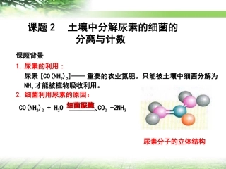课题2-土壤中分解尿素的细菌的分离与计数-(5)